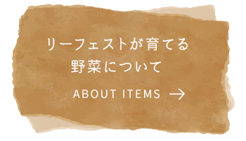 昭和村の高原で育てる新鮮で美味しい野菜をお届けします。リーフェストが育てる野菜について